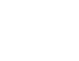 Vector-1