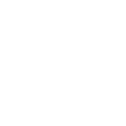 Vector